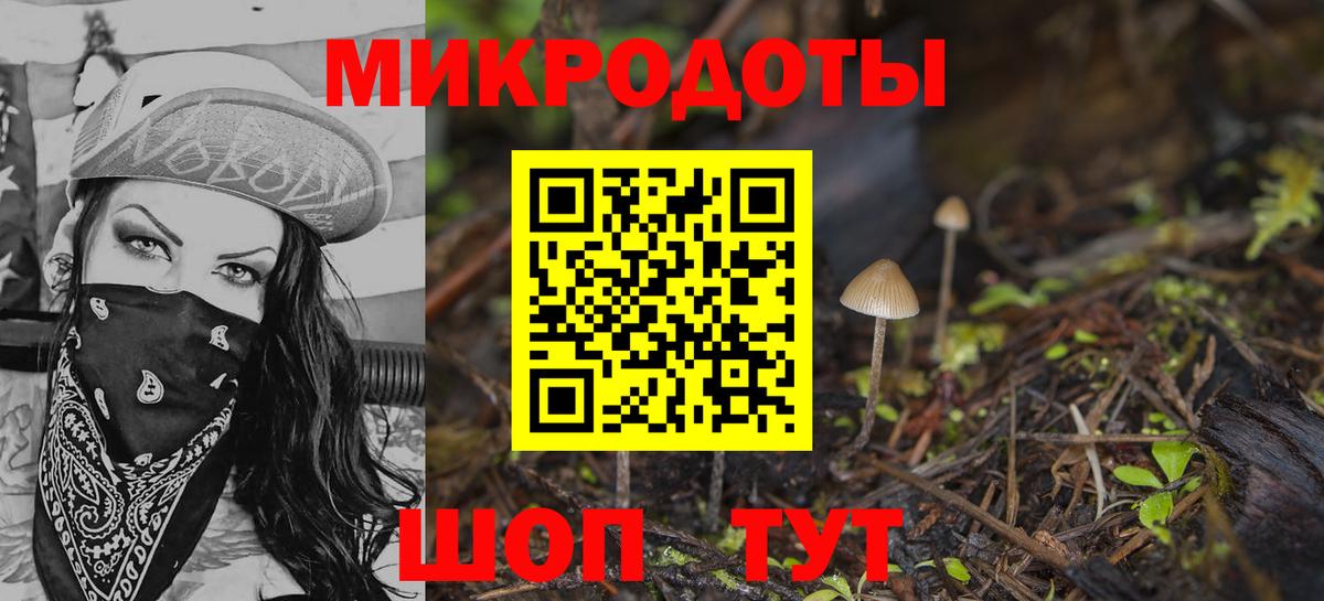 Псилоцибиновые грибы Psilocybe  Вход с VPN  Дагестанские Огни 